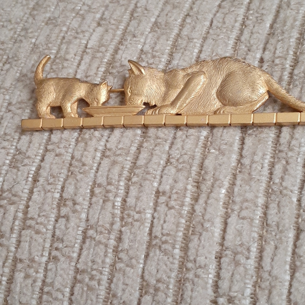 Cat and kitten eating brooch pin